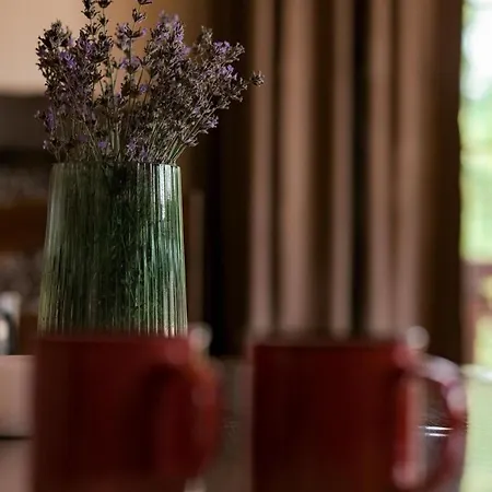 гражда Holiday park Migovo